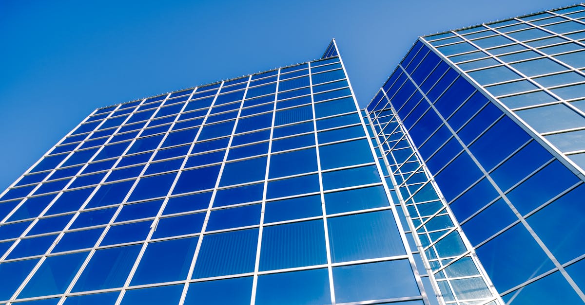 How to Prepare for a Claims Investigation