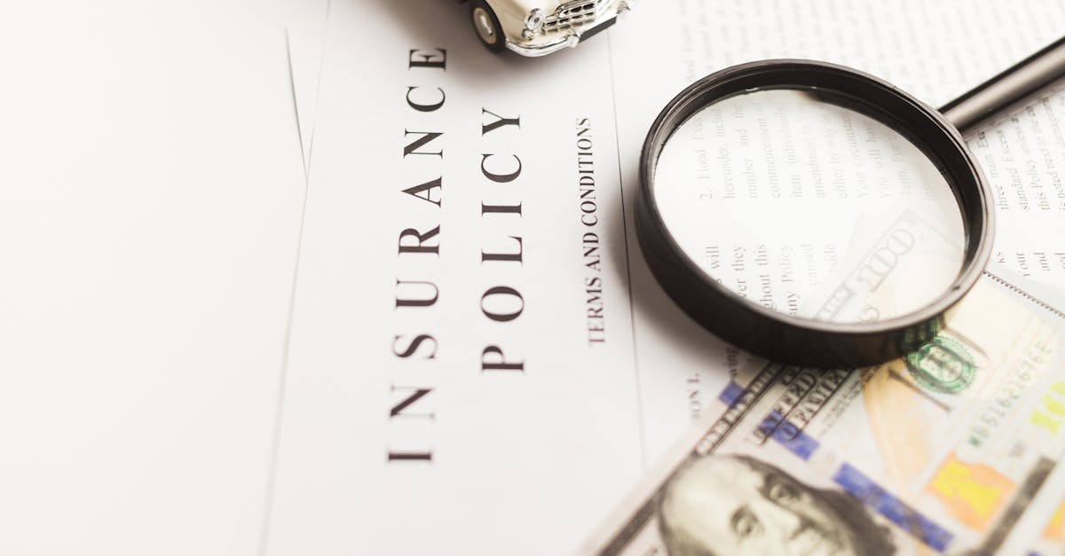 The Importance of Liability Coverage for Businesses on the Sunshine Coast